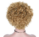 Human Hair Wig