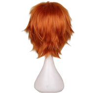 Anime Short Heat Resistant wig